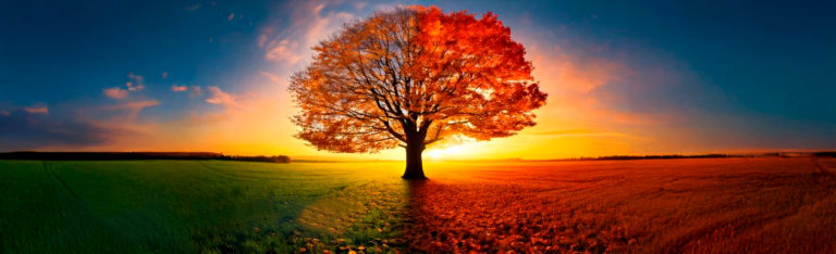 ¿Qué es la tanatología y cómo puede transformar nuestras vidas?